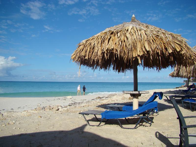 Palmita Hotel Hostel Oranjestad Exteriör bild