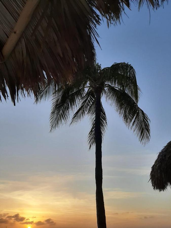Palmita Hotel Hostel Oranjestad Exteriör bild