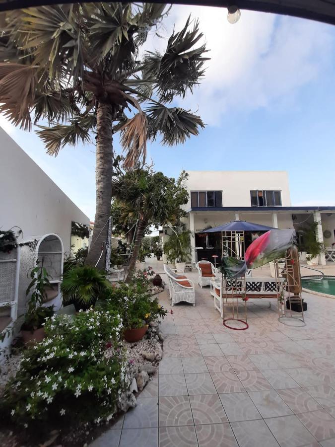 Palmita Hotel Hostel Oranjestad Exteriör bild