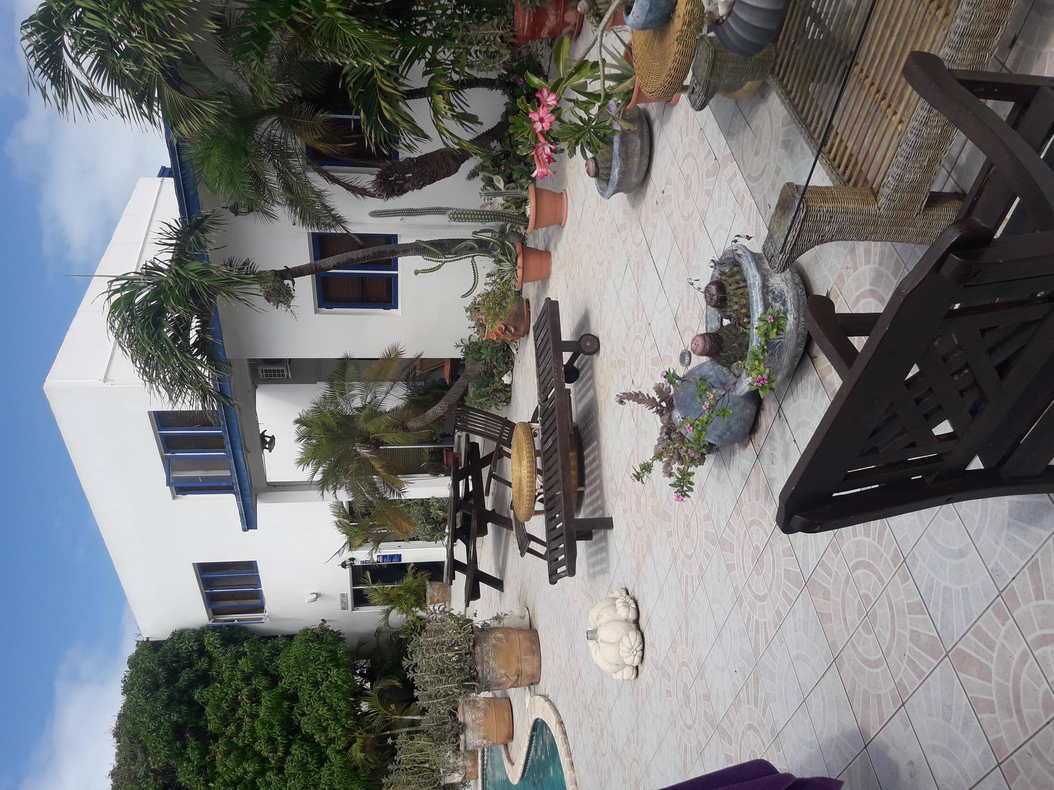 Palmita Hotel Hostel Oranjestad Exteriör bild