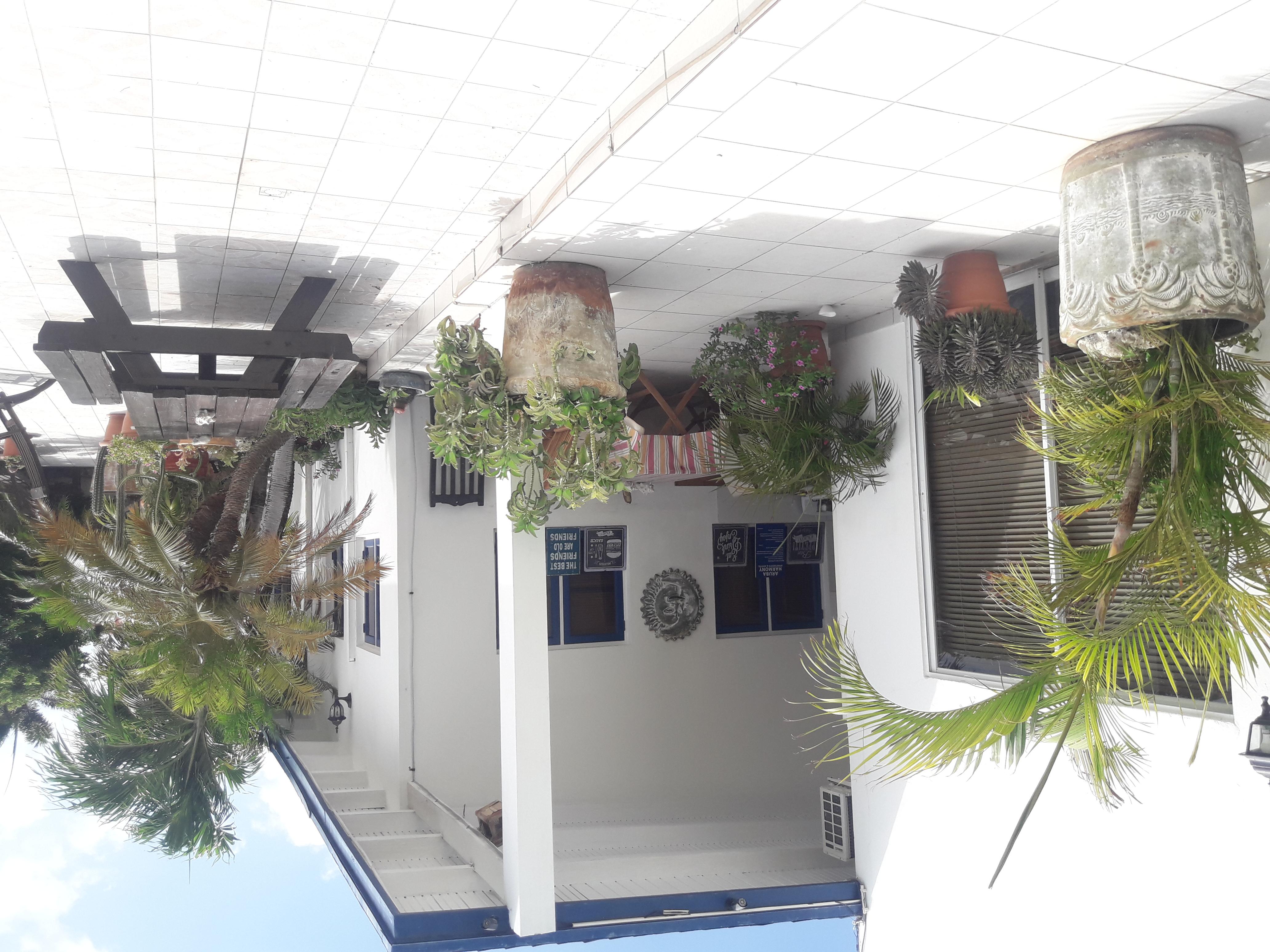 Palmita Hotel Hostel Oranjestad Exteriör bild