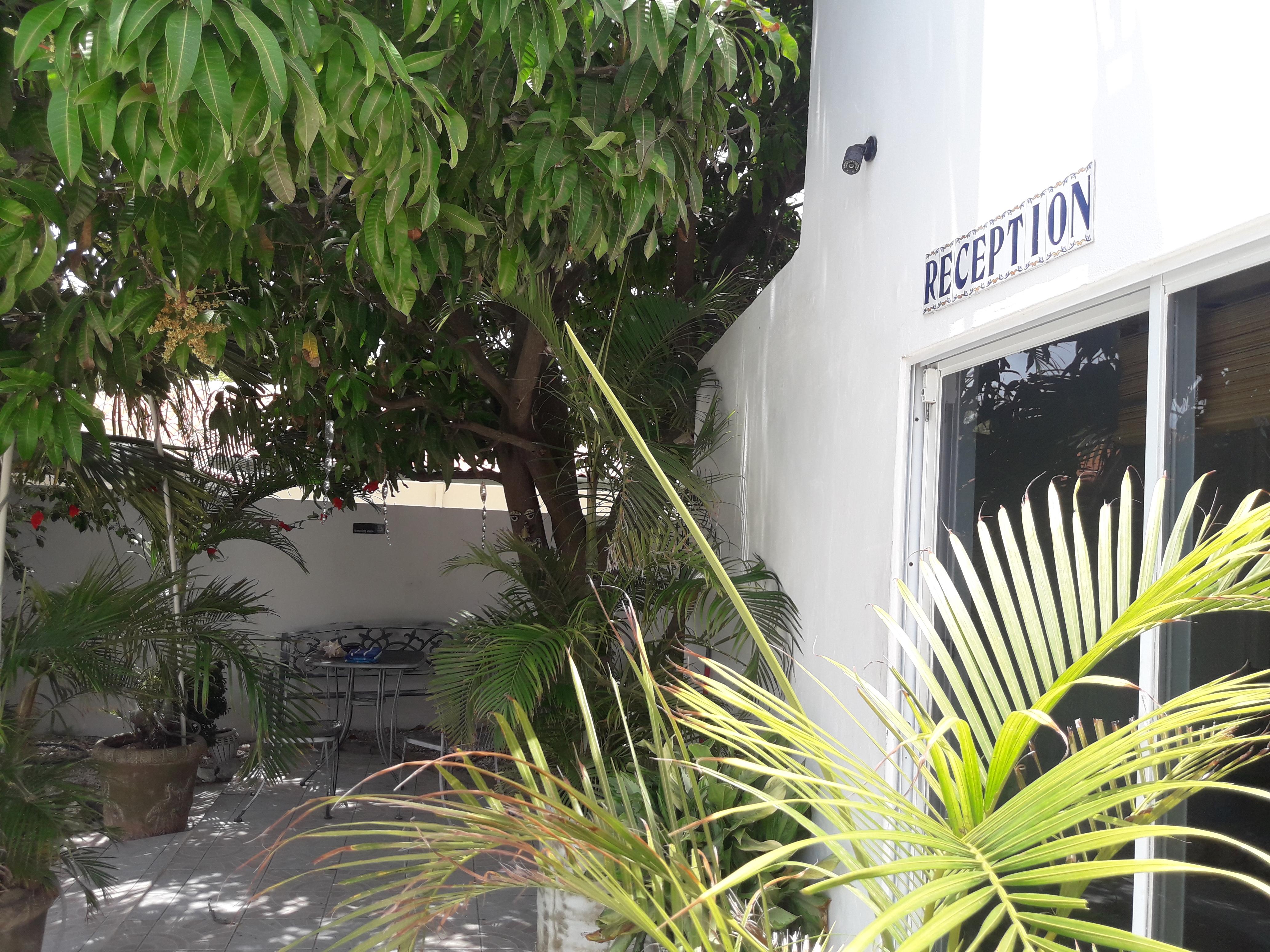 Palmita Hotel Hostel Oranjestad Exteriör bild