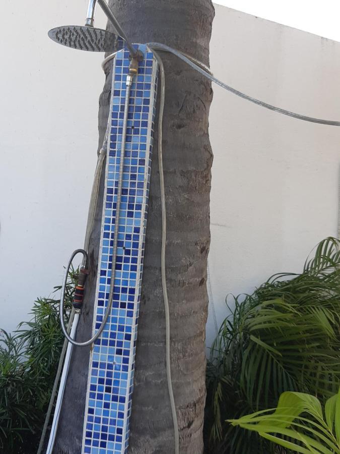 Palmita Hotel Hostel Oranjestad Exteriör bild